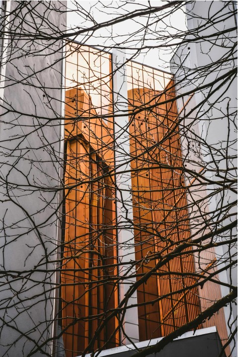 Scène d'information